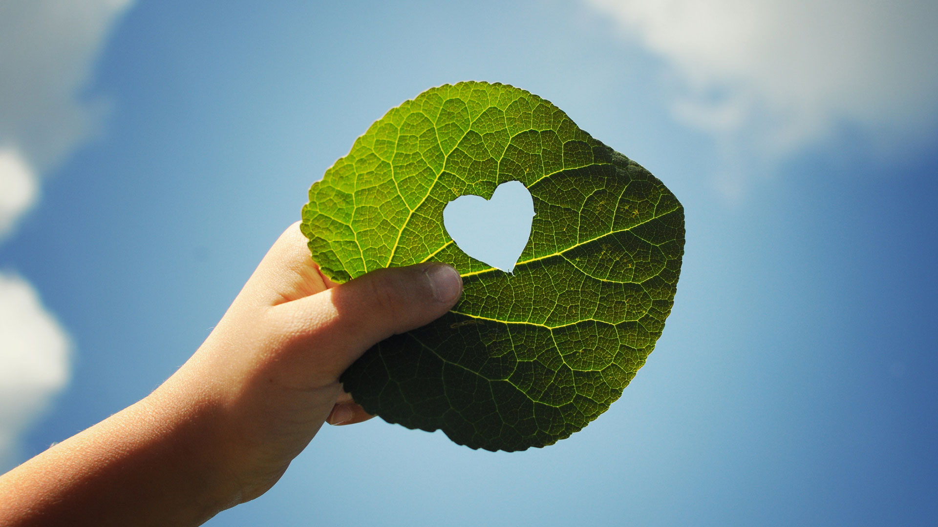 Leitbild - wie wir arbeiten